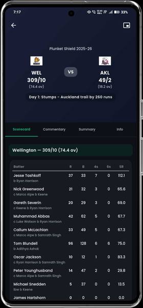 CricketBuzz Scorecard Ball by Ball
